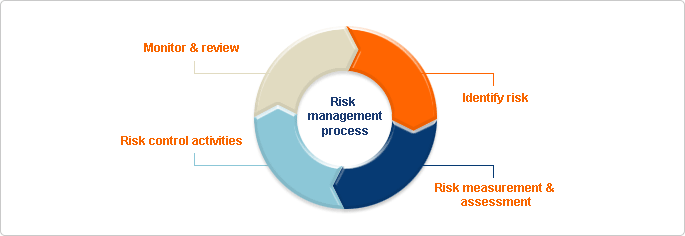 Risk management process image